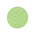 �y�݌Ɍ���z���b�V���R�[�X�^�[ #220 [3]�O���[�� 10������
