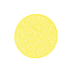 �y�݌Ɍ���z���b�V���R�[�X�^�[ #220 [7]�C�G���[ 10������