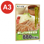 �|�X�^�[�p�l�� 331 A3�ؖڃi�`������