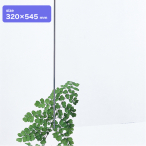 �A�N������2mm�� 320�~545 ����
