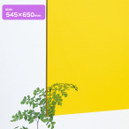 �A�N������2mm�� 545�~650 ����������