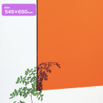 �A�N������2mm�� 545�~650 �I�����W����
