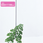 �A�N������2mm�� 650�~1100 ����