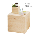 55813    HP 5�ʑ�DP BOX ���h��150mm