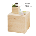 55812    HP 5�ʑ�DP BOX ���h��200mm