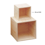 55810    HP 5�ʑ�DP BOX ���h��400mm