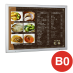 LED���ƃp�l�� FE9925 B0���R �X�e��
