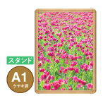 PG���C�gLED�X����32R A1 �P���L �X�^���h