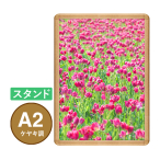 PG���C�gLED�X����32R A2 �P���L �X�^���h