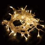 LED�X�g�����O���C�g? �N���A�R�[�h�V�����p���S�[���h