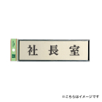 �T�C���v���[�g PL110-39 �В���