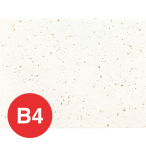 OA�a������_��(B4) OB-40 ��