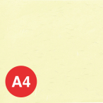 OA�a����T��(A4) OA-42(10��) ��