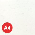 OA�a����T��(A4) OA-42(10��) ��