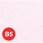 OA�a����T��(B5) OB-52(10��)�s���N