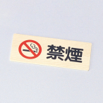 �։��v���[�g IP-54W