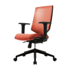 T30���I�t���`�F�A �I�����W