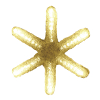 LED�N���X�^���O���[ �t���[�X�m�[ �S�[���h 5��