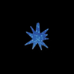 LED�Z�p���[�c�M�����N�V�[ �� �u���[ 4���H