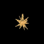 LED�Z�p���[�c�M�����N�V�[ �� �E�H�[���z���C�g 4���H