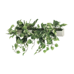 GR4052 �E�H�[���|�b�g