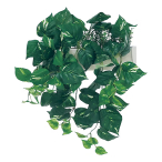 GR4429 �n���M���O�|�b�g �p�[�e�[�V����