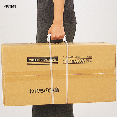 S񂰃z_[i100{j Xܗpi obN[hi pi