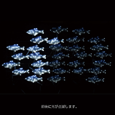 LEDNX^O[ Q