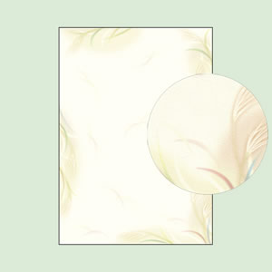 y݌Ɍzy݌ɏ - iiz4-1018 ap a