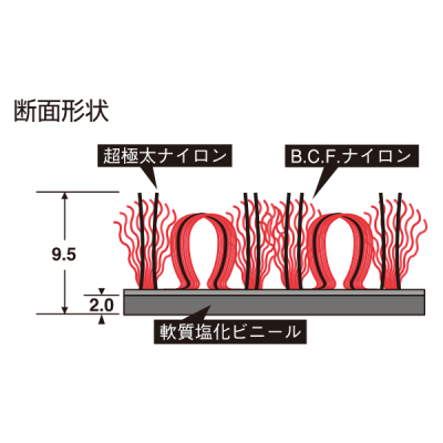 nCyA 900~1500 Rogu[