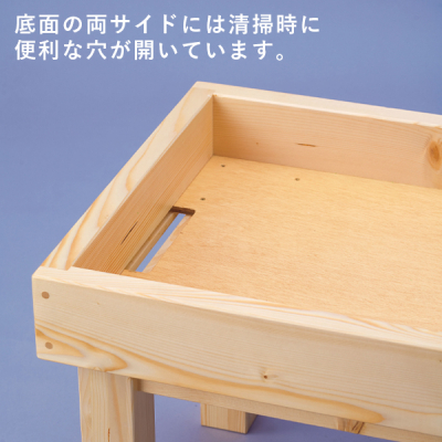 55741    ʔ̔  LX^[t