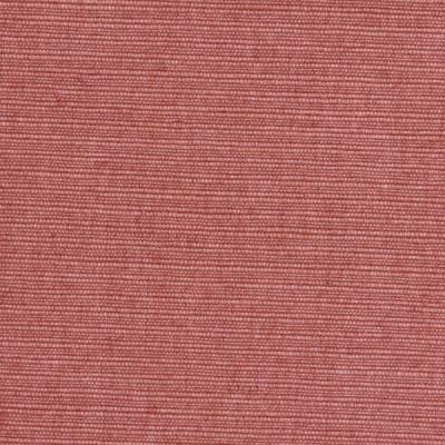 56933    ȐD̂ߒ(2A)No1Zg