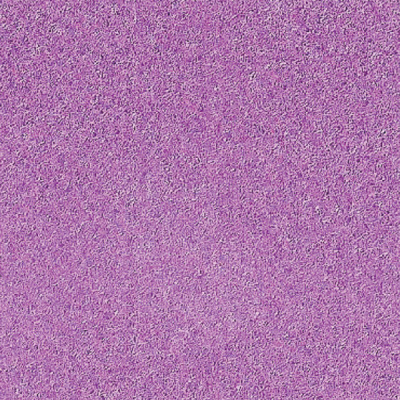 5GB-A2-PK    Ob^[{[h 5mm A2 sN
