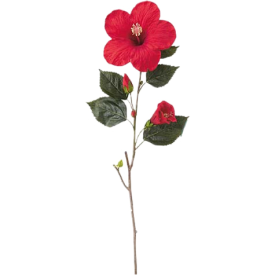 ☆ハイビスカス☆ 24-36217RED-M01.jpg