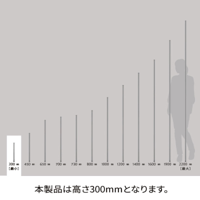 B12PB2 x[VbNV[Y |[ 300mm ubN (2{)
