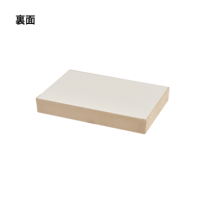 �ڋq�g���CSS ���J