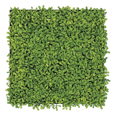 GR1154 AڃO[ 30p