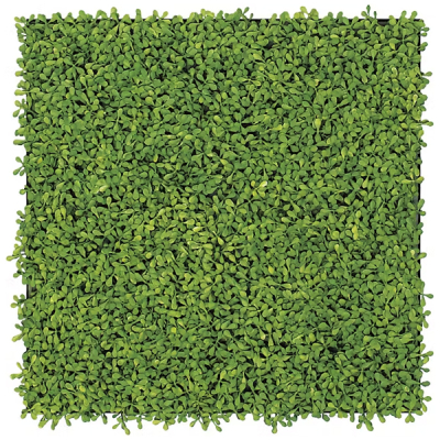 GR1155 AڃO[ 45p