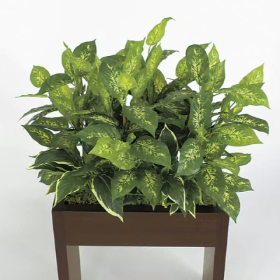 GR2219 �{�b�N�X�p�[�e�[�V����