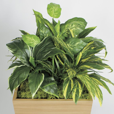 GR2550 �����v�����^�[(�X�^�b�L���O)