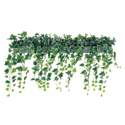 GR9001 ���C�h�O���[��