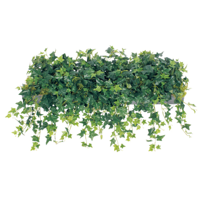 GR9013 ���C�h�O���[��