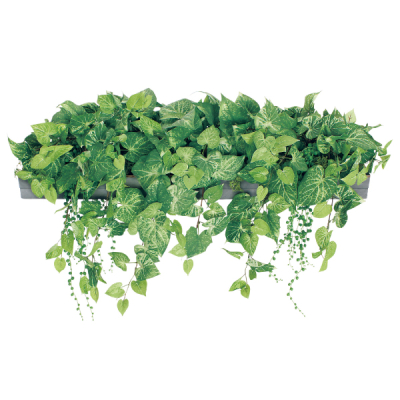 GR9014 ���C�h�O���[��