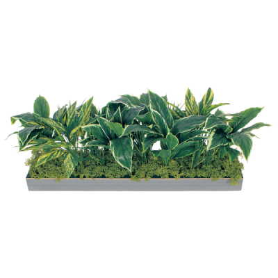 GR9016 ���C�h�O���[��