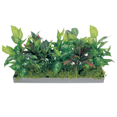 GR9017 ���C�h�O���[��