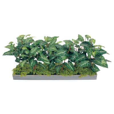 GR9018 ���C�h�O���[��