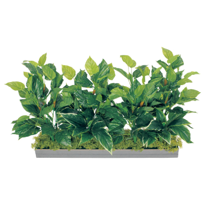 GR9019 ���C�h�O���[��