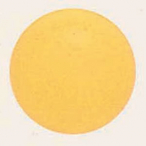 fRo[ (10) 18cm  EGfBO p[eB  o[A[`