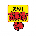 y݌Ɍzy݌ɏ - iizNtgPOP 13-4081 Yo