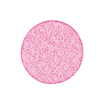bVR[X^[ #220 [1]sN  10